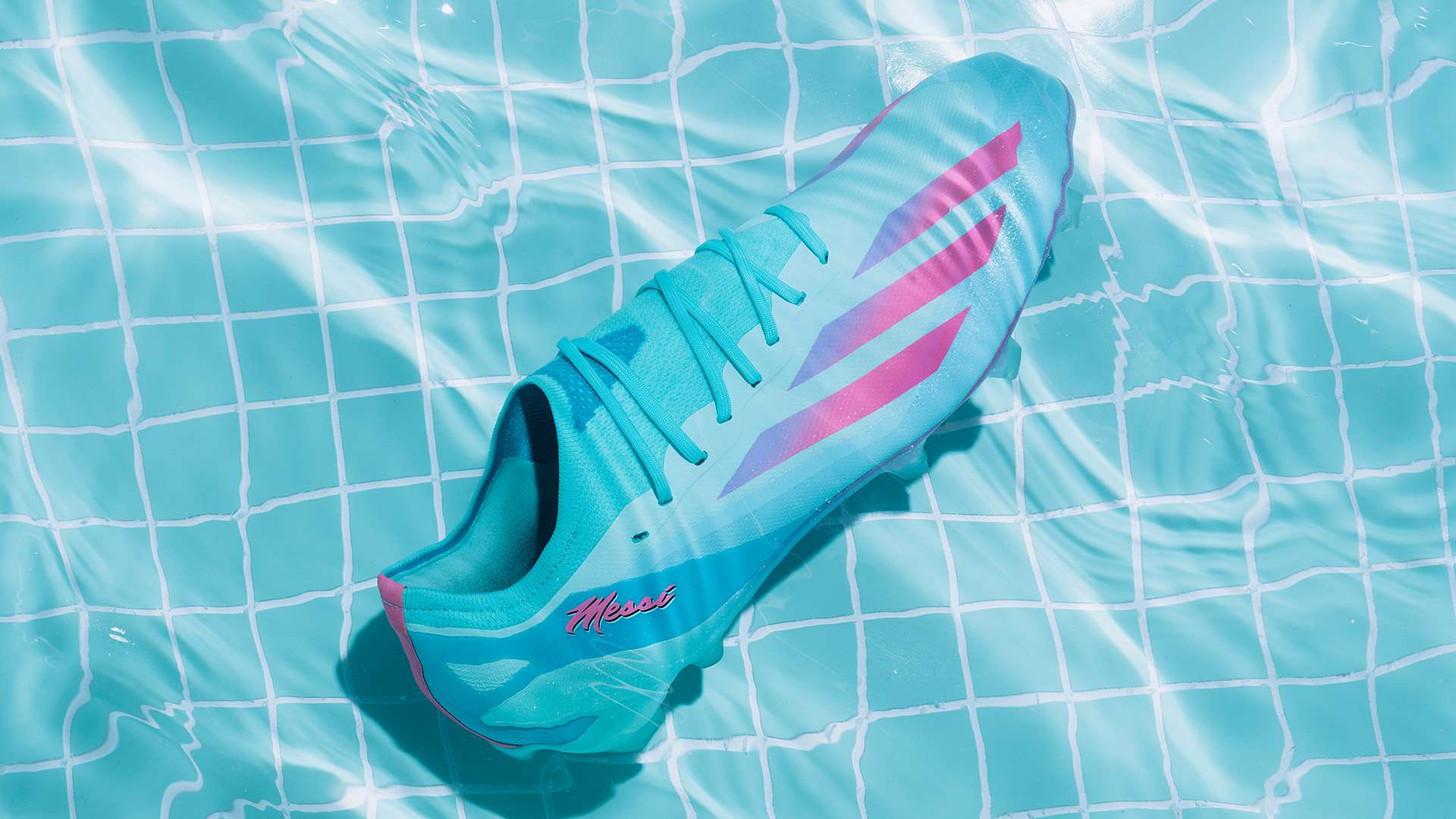 了职业生涯 了职业生涯